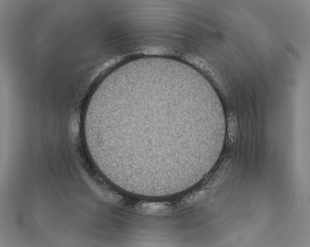 X0000111590208200908271016