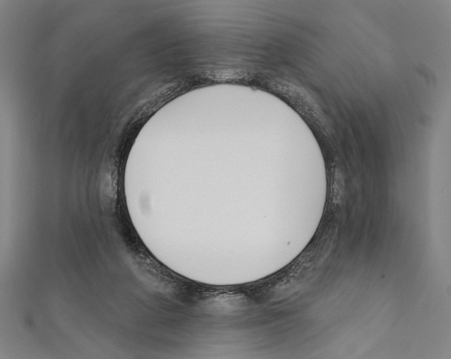 X0000111590210200908271016