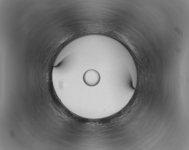 X0000111590211200908271016