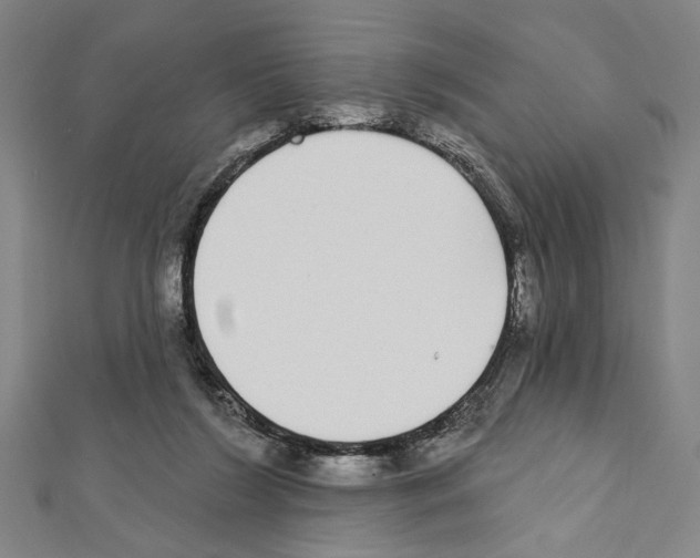X0000111590212200908271016