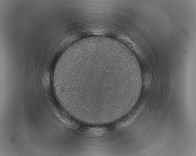 X0000111590213200908271016