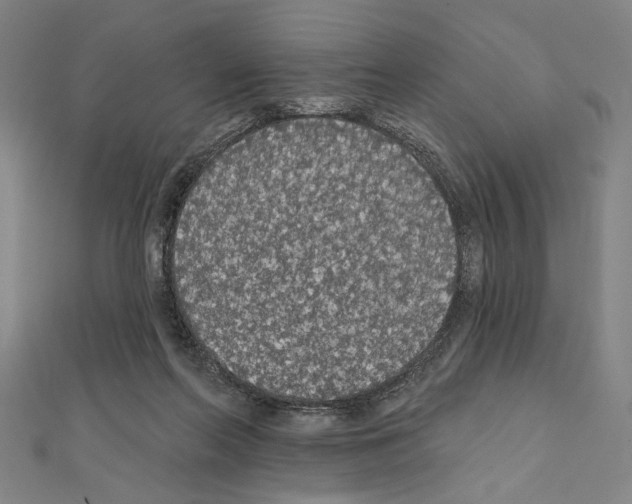 X0000111590214200908271016