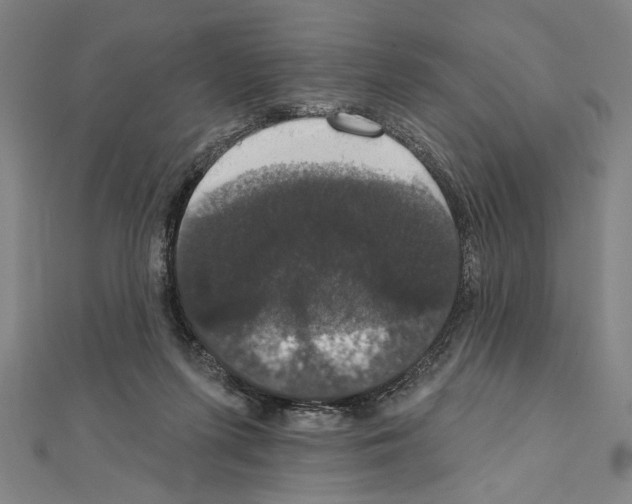 X0000111590215200908271016