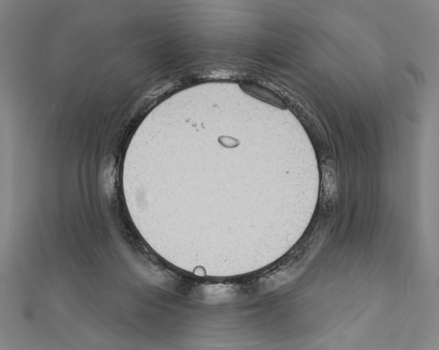 X0000111590216200908271016