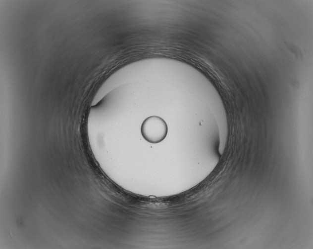 X0000111590217200908271016