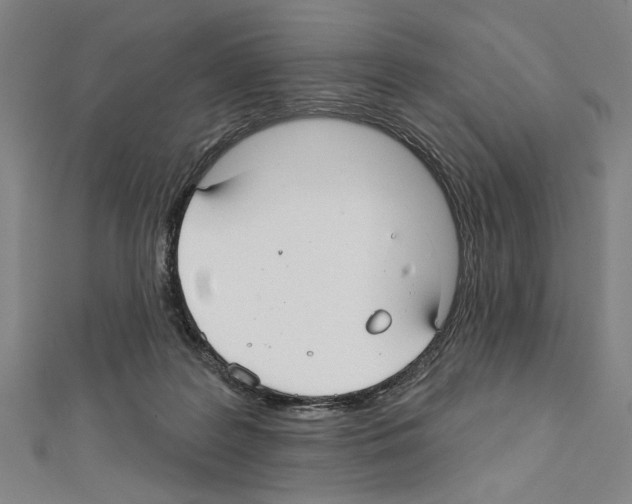 X0000111590219200908271016