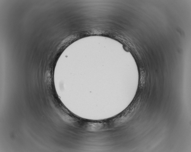 X0000111590220200908271016