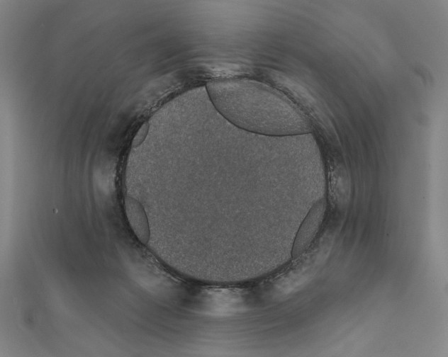X0000111590221200908271016