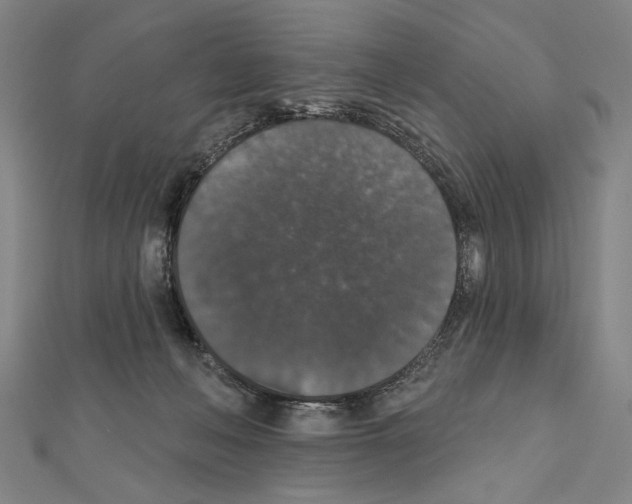X0000111590222200908271016