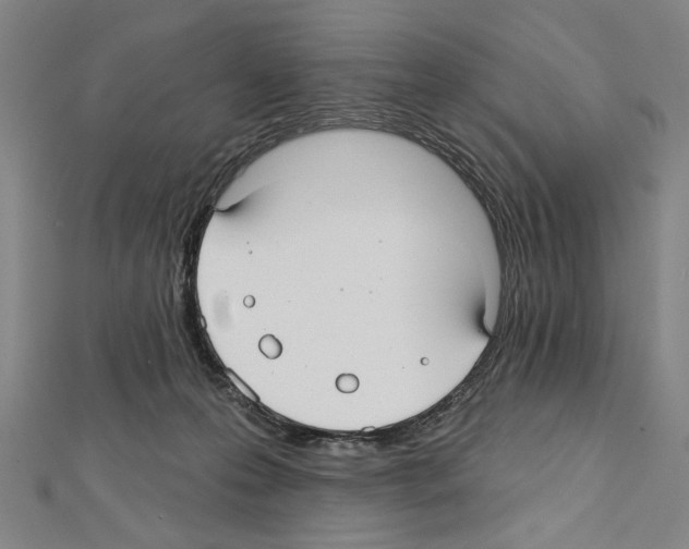 X0000111590223200908271016