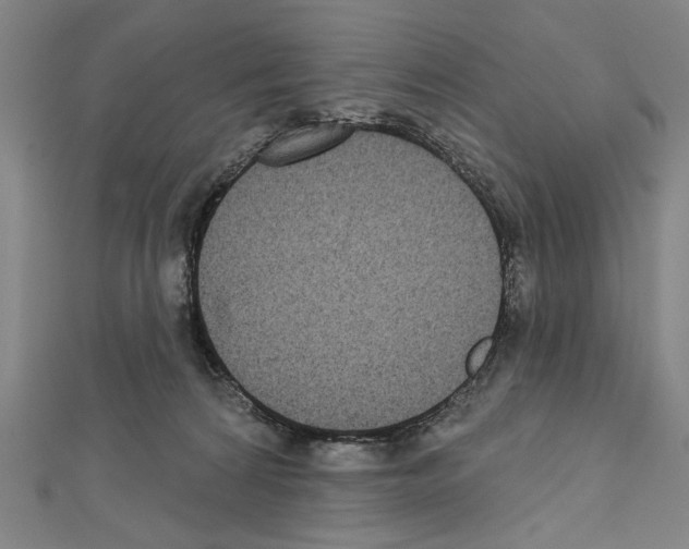 X0000111590224200908271016