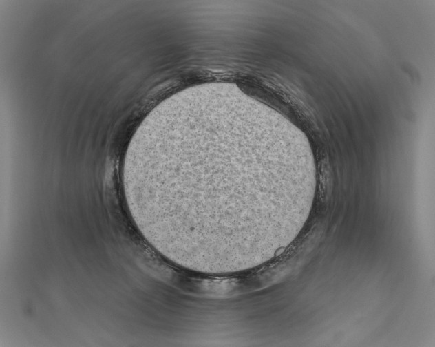 X0000111590225200908271016