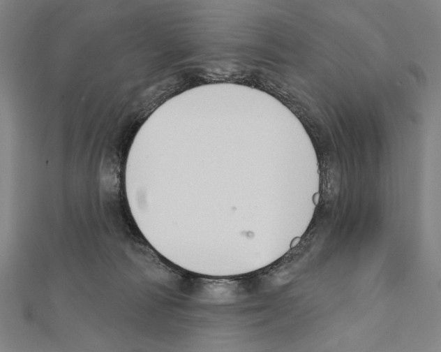 X0000111590226200908271016