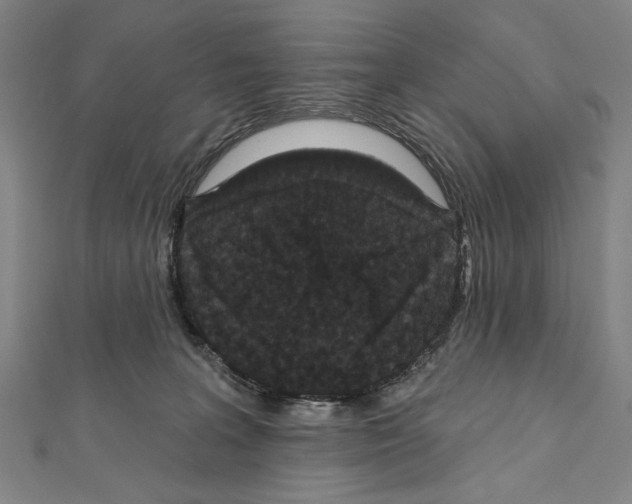 X0000111590227200908271016