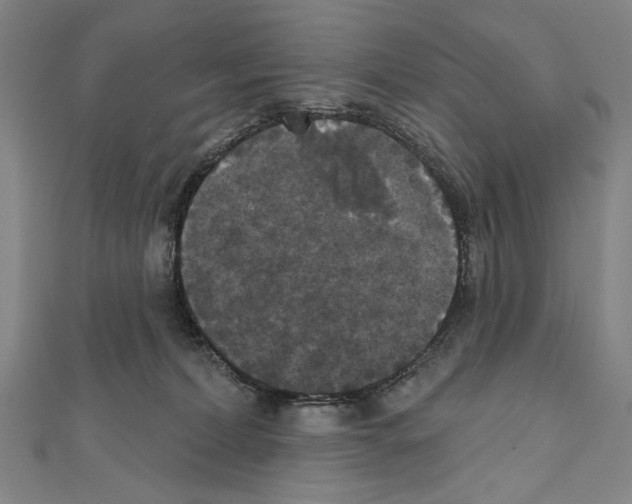 X0000111590228200908271016