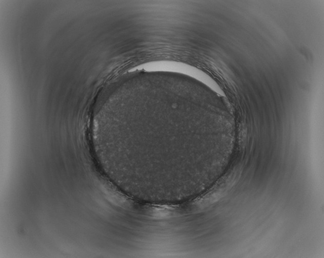 X0000111590229200908271016