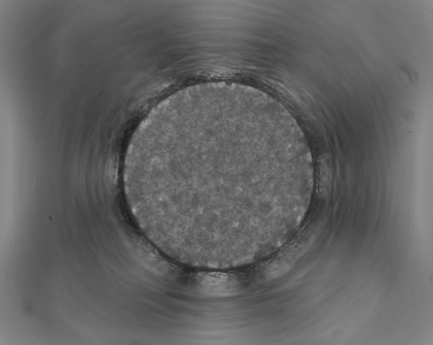 X0000111590230200908271016
