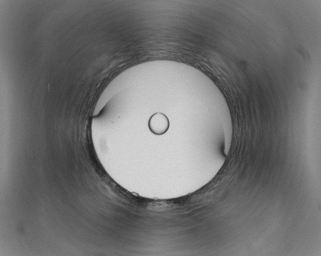 X0000111590231200908271016