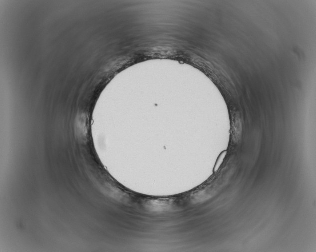X0000111590232200908271016