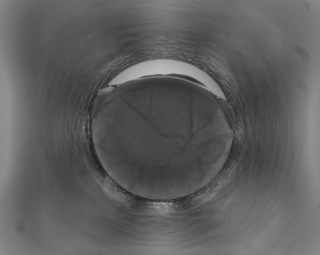 X0000111590233200908271016