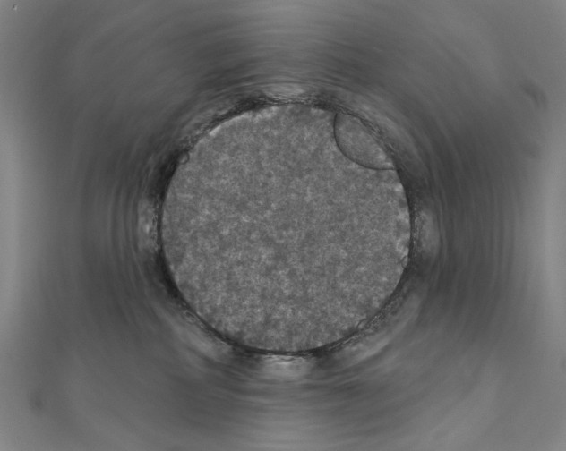 X0000111590234200908271016