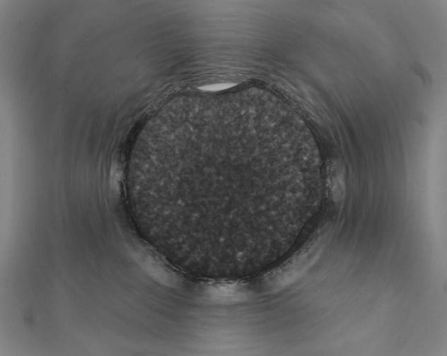 X0000111590235200908271016