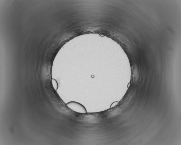 X0000111590236200908271015