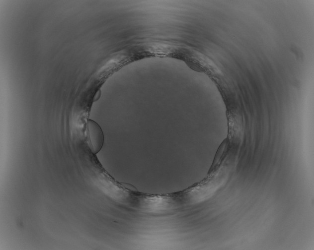 X0000111590237200908271015