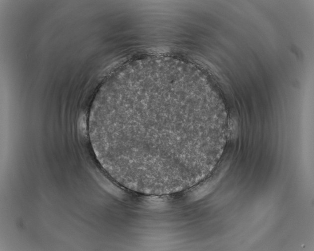 X0000111590238200908271015