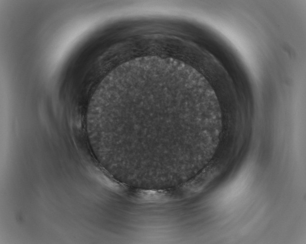 X0000111590239200908271015