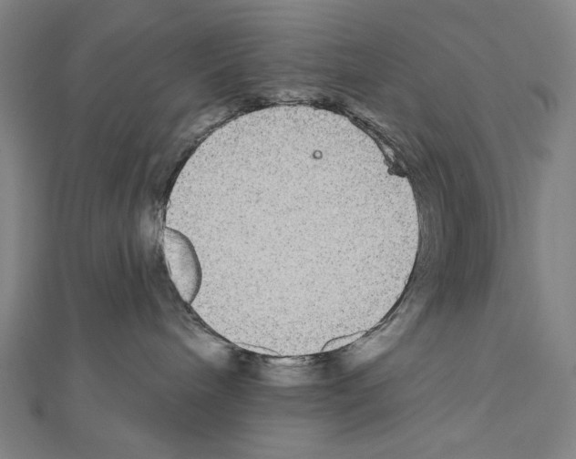 X0000111590240200908271015