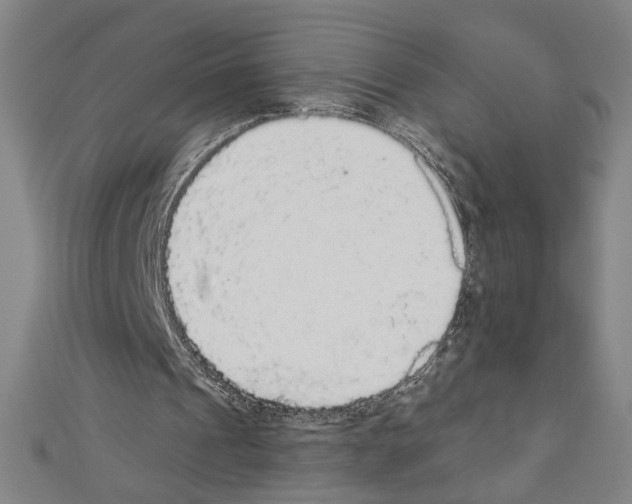X0000111590241200908271015
