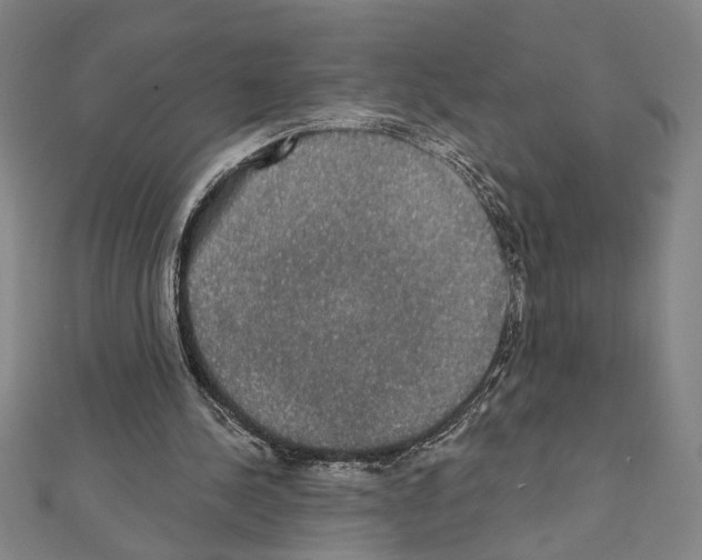X0000111590244200908271015