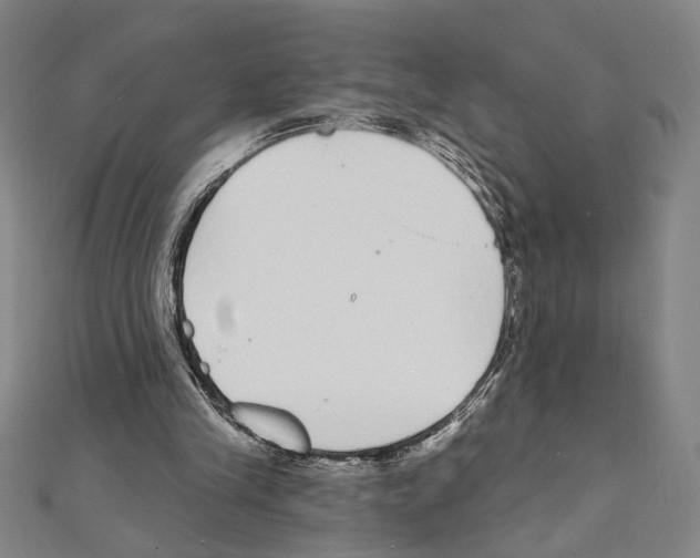 X0000111590245200908271015