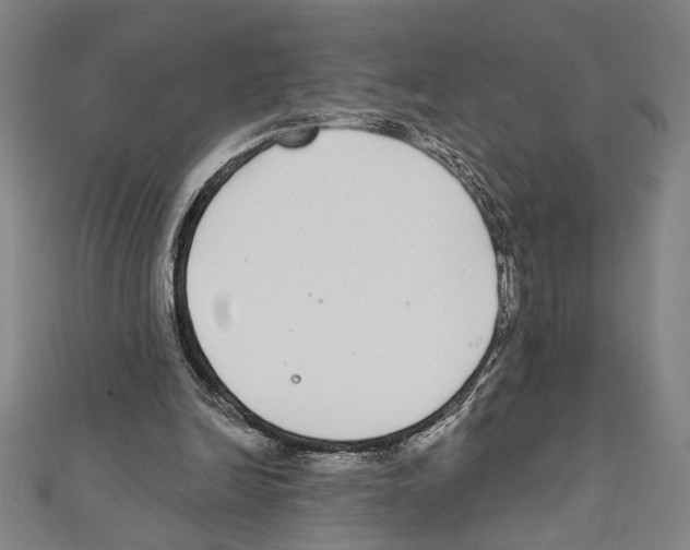 X0000111590246200908271015