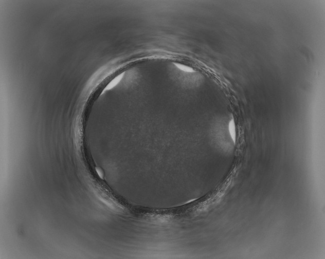 X0000111590247200908271015