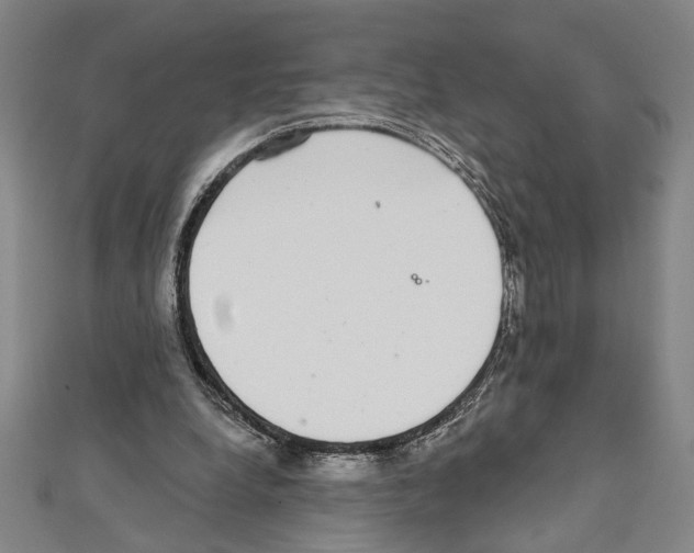 X0000111590248200908271015