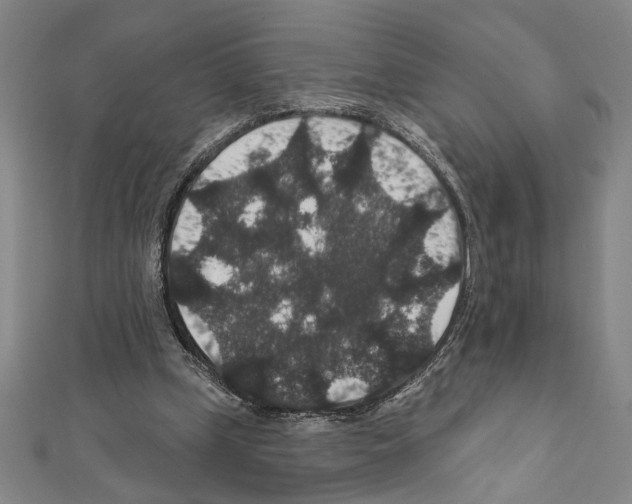 X0000111590249200908271015
