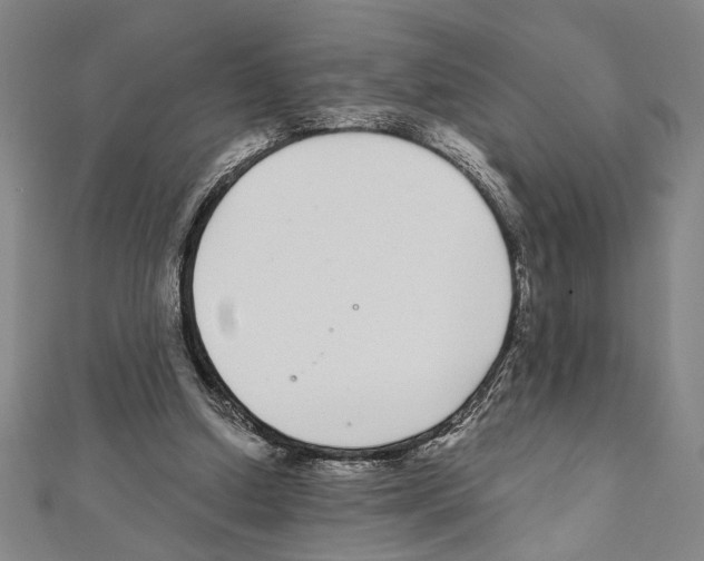 X0000111590250200908271015