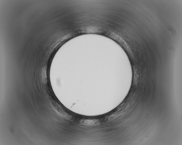 X0000111590251200908271015
