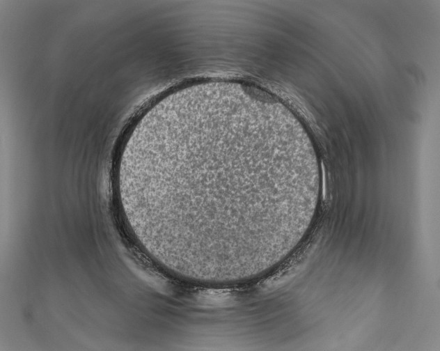 X0000111590252200908271015