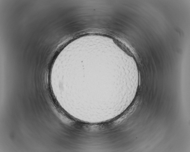 X0000111590253200908271015