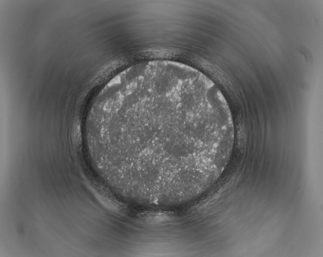 X0000111590254200908271015