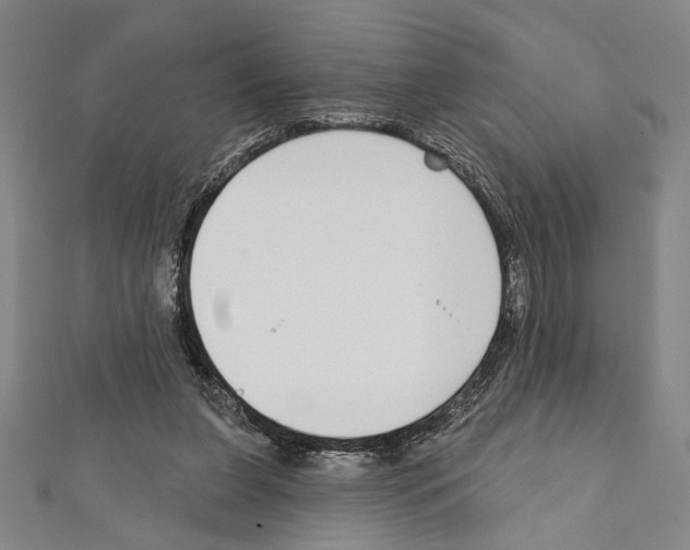 X0000111590255200908271015