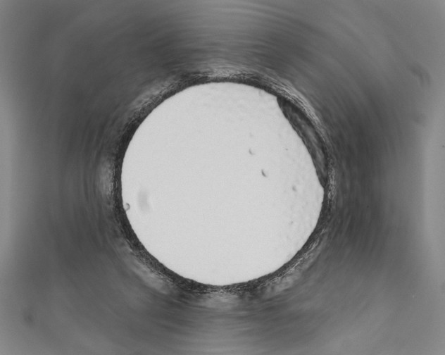X0000111590257200908271015