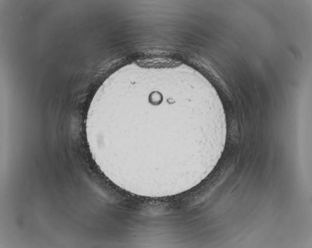 X0000111590259200908271015