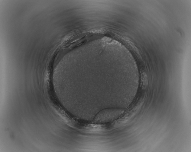 X0000111590260200908271015