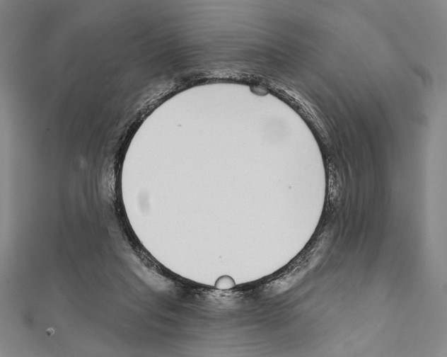 X0000111590261200908271015