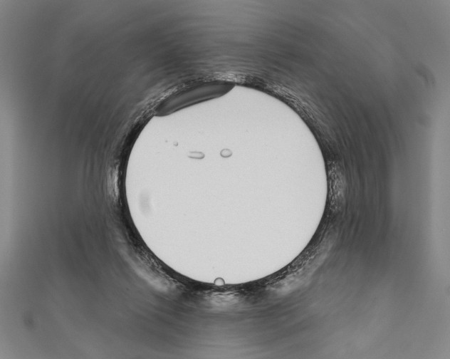 X0000111590262200908271015