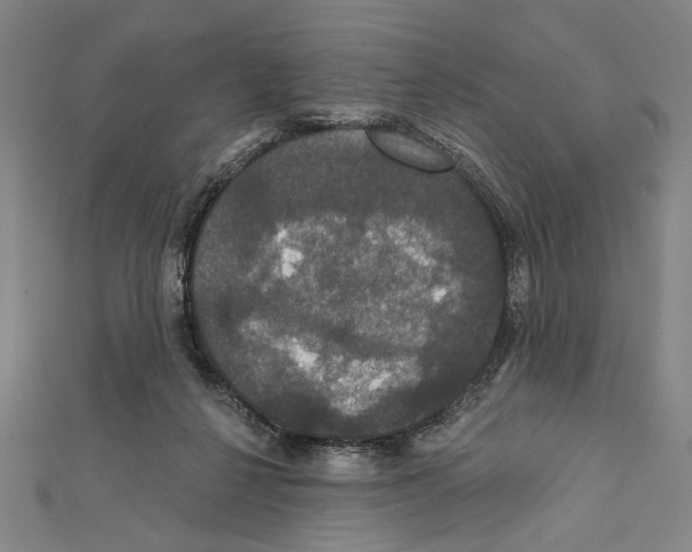 X0000111590264200908271015